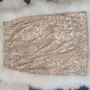 Ann Taylor Champagne Sequin Skirt